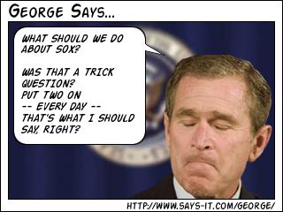 What Dubya thinks about SOX
